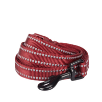 3M Reflective Dog Leash in Marsala