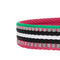 3M Reflective Multi-colored Stripe Dog Collar