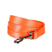 Classic Solid Nylon Dog Leash